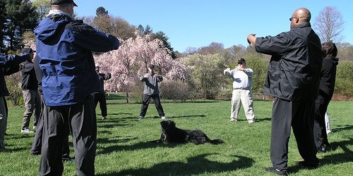 The Basis Of Athletic Achievement?  Movement Quality!