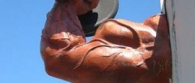 The fastest way to build muscle