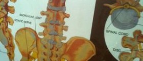 The growing epidemic of low back pain in children