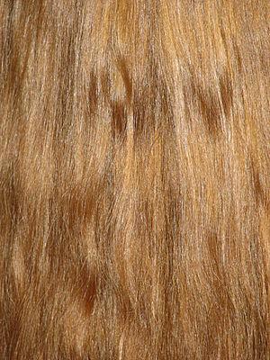 The importance of face shapes and hair