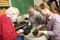 Therapy for aphasia
