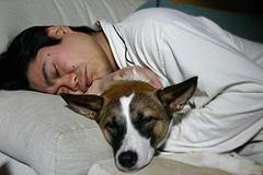 Therapy for insomnia
