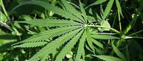 Therapy for substance abuse