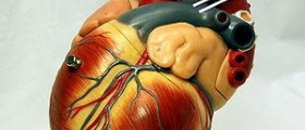 Therapy for systolic heart failure