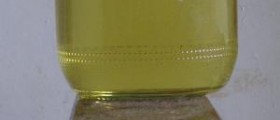 Too much protein in urine