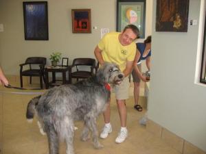 Training for veterinary assistant
