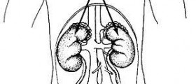 Treatment for urinary tract obstructions
