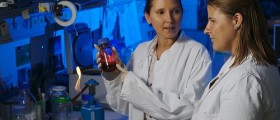 Can Cancell (Protocel) Cancel Lung Cancer?