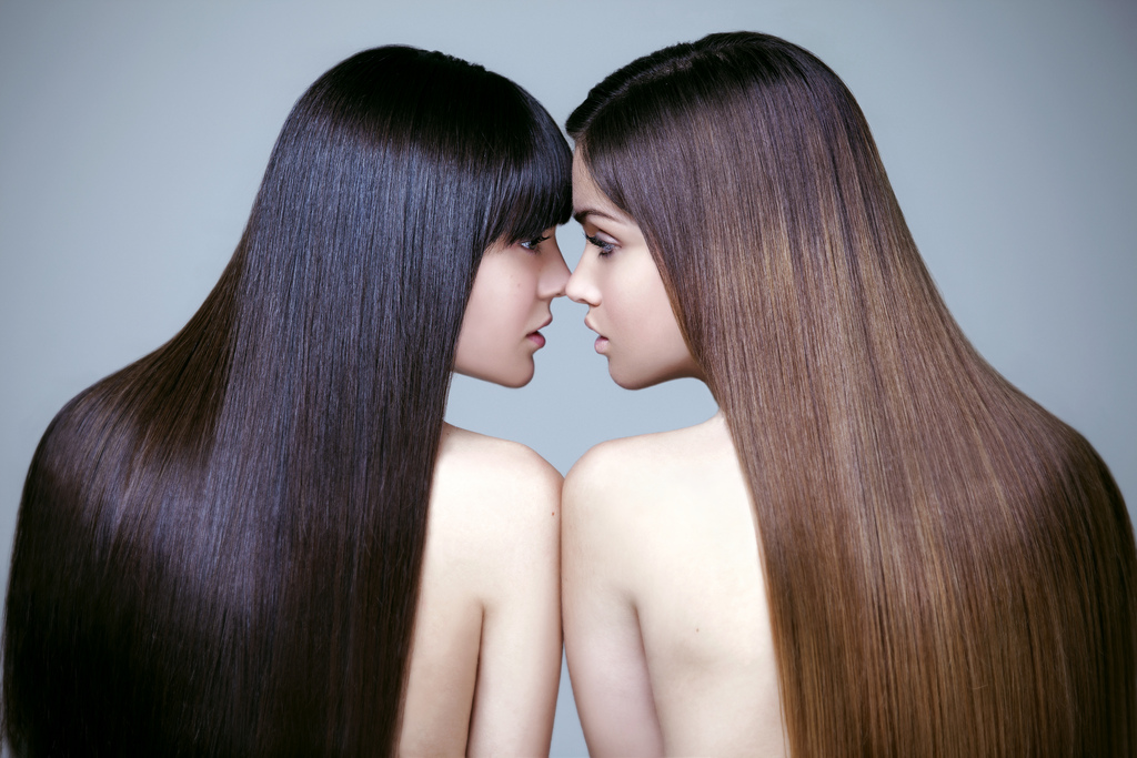 two-longhair-beauties.jpg