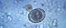 Understanding the body's fertility signals