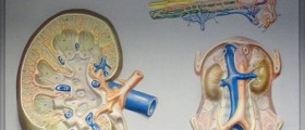 Interstitial Cystitis: Diagnosis & treatment