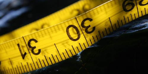 Lose 20 Pounds in the Next Eight Weeks!