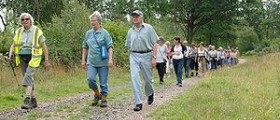 Walking exercise for seniors
