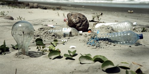 Environmental Toxins Linked To Obesity And Diabetes