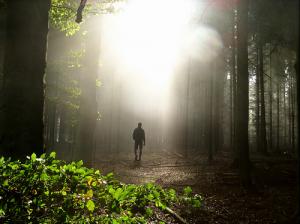What are the benefits of walking