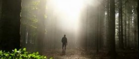 What are the benefits of walking