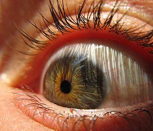 What does it mean when your eye twitches