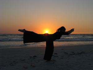 What is yoga? A view at an ancient practice