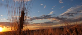 The best possible diet plans for patients with Celiac Disease