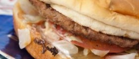 Why fast food companies must be help accountable for their ingredients