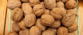 Foods That Will Boost Your Semen Count And Fertility