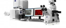 Invisible World: Of Bacteria And Viruses